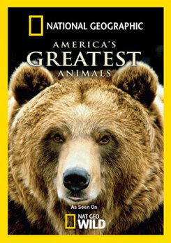 DVD National Geographic: America's Greatest Animals Book