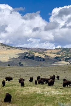 Paperback American Buffalo: Wyoming Book