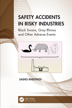 Hardcover Safety Accidents in Risky Industries: Black Swans, Gray Rhinos and Other Adverse Events Book