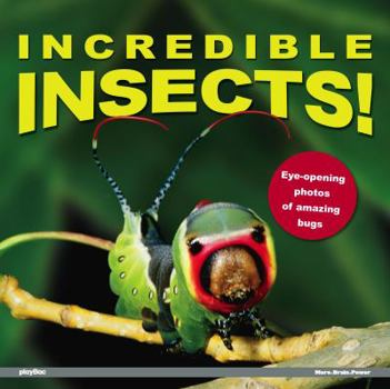 Hardcover Incredible Insects!: Eye-Opening Photos of Amazing Bugs Book