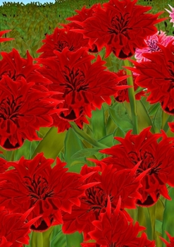 Paperback My Week Book: Mijn Week boek- Mon livre de la Semaine- Mein Wochenbuch- Il mio libro della- Settimana- Mi libro de la Semana Book