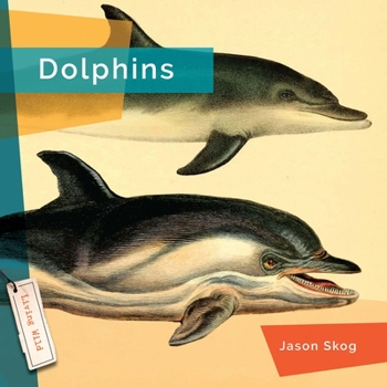 Library Binding Dolphins Book