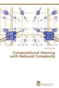 Paperback Computational Steering with Reduced Complexity Book