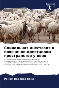 Paperback Спинальная анестезия в п [Russian] Book