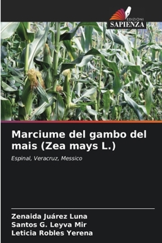 Marciume del gambo del mais (Zea mays L.): Espinal, Veracruz, Messico