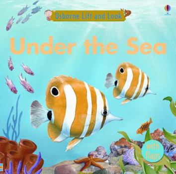 Under the Sea - Book  of the Usborne Lift and Look Board Books
