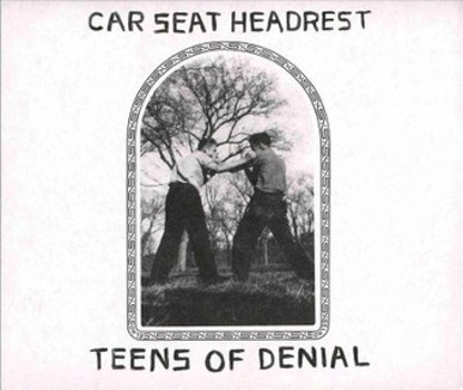 Music - CD Teens of Denial Book