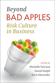 Hardcover Beyond Bad Apples: Risk Culture in Business Book