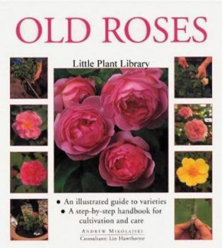 Hardcover Little Plant Library: Old Roses Book