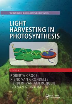 Paperback Light Harvesting in Photosynthesis Book