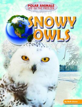 Library Binding Snowy Owls Book