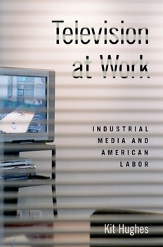 Hardcover Television at Work: Industrial Media and American Labor Book
