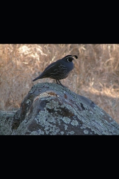 A PLACE TO SPEND THE WINTER