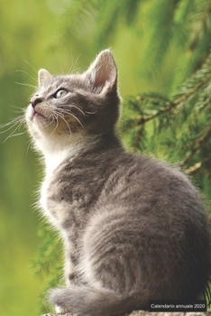 Paperback Calendario annuale 2020: &#9830; Manuale dell'organizzatore pratico per il 2020 &#9830; Anteprima di 12 mesi &#9830; 52 pianificatore settimana [Italian] Book