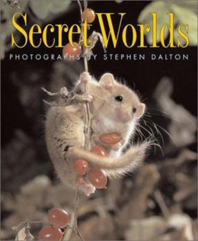 Paperback Secret Worlds Book