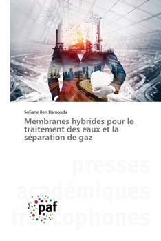 Membranes hybrides pour le traitement des eaux et la séparation de gaz (French Edition)