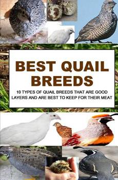 Paperback Best Quail Breeds: 10 Types Of Quail Breeds That Are Good Layers And Are Best To Keep For Their Meat Book