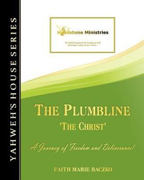 Paperback The Plumbline Book