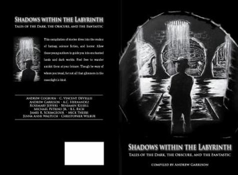 Paperback Shadows Within the Labyrinth: Tales of the Dark, the Obscure, and the Fantastic Book