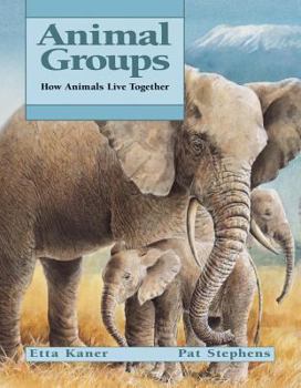 Paperback Animal Groups Book
