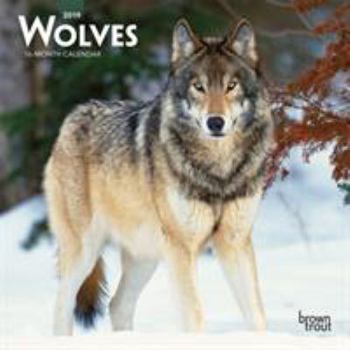 Calendar Wolves 2019 7 x 7 Inch Monthly Mini Wall Calendar, Wildlife Animals Book