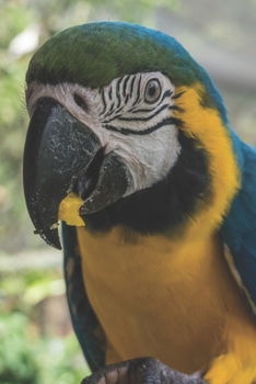 Ara: Notizbuch / Tagebuch Papagei bunt - DIN A5 120 Seiten liniert - Geschenke für Vogelliebhaber Papagei (German Edition)