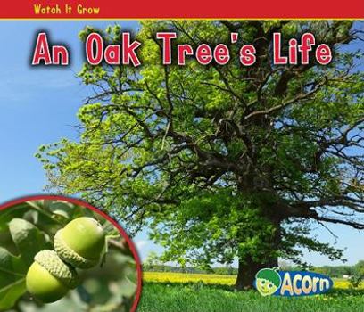 Library Binding An Oak Tree's Life Book