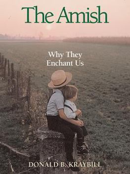 Paperback The Amish: Why They Enchant Us Book