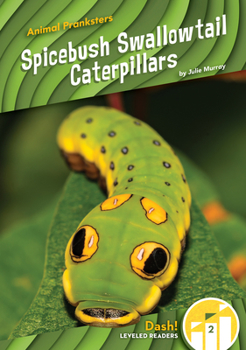 Library Binding Spicebush Swallowtail Caterpillars Book