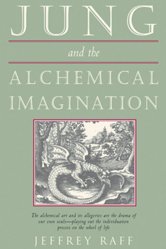 Paperback Jung & the Alchemical Imagination Book