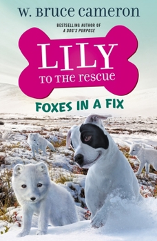 Paperback Lily to the Rescue: Foxes in a Fix Book