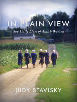 Hardcover In Plain View: The Daily Lives of Amish Women Book