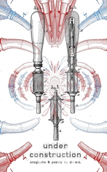 Paperback Under Construction: Anaglyphs and Poems Book