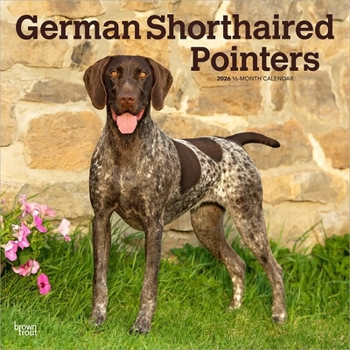 German Shorthaired Pointers 2026 12 X 24 Inch (Hanging) Monthly Square Wall Calendar Plastic-Free