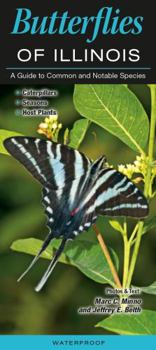 Pamphlet Butterflies of Illinois: A Guide to Common and Notable Species Book