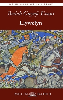 Paperback Llywelyn Book