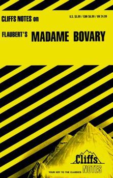 Paperback Cliffsnotes on Flaubert's Madame Bovary Book