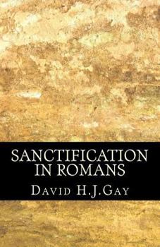 Paperback Sanctification in Romans Book