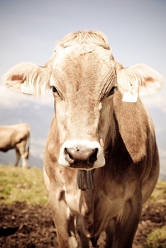 Tyrol notebook - achieve your goals, perfect 120 lined pages #3 (Tyrol Notebooks)