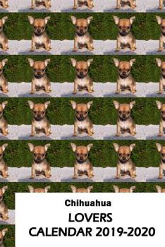 Paperback Chihuahua Lovers Calendar 2019-2020 Book