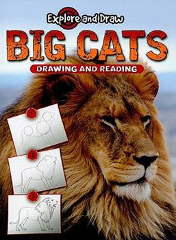 Paperback Big Cats, Drawing and Reading Book