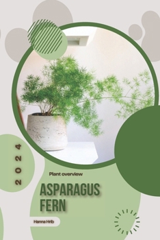 Cactus: Simply beginners guide