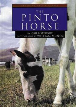 Hardcover The Pinto Horse Book
