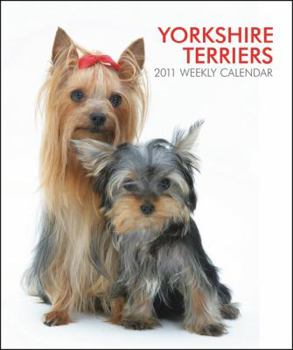 Diary Yorkshire Terriers 2011 Hardcover Weekly Eng Book