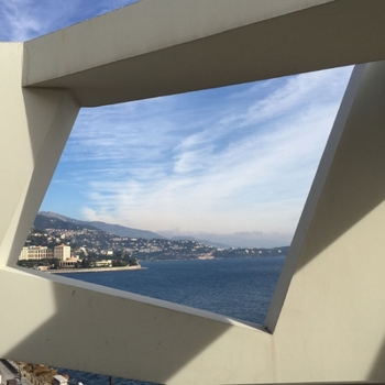 Paperback The Window: Perceived Book