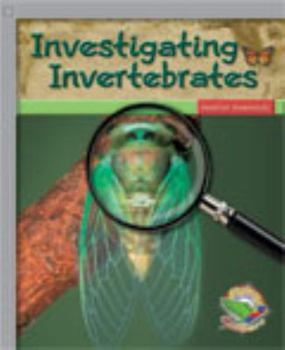 Investigating Invertebrates