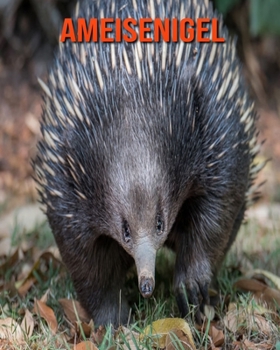 Ameisenigel: Schöne Bilder & Kinderbuch mit interessanten Fakten über Ameisenigel (German Edition)
