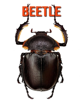 Paperback Beetle: Fun Learning Facts About Beetle Book