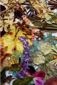 Paperback Here, Take This Book