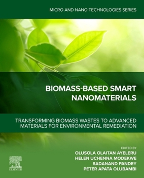 Paperback Biomass‐based Smart Nanomaterials: Transforming Biomass Wastes to Advanced Materials for Environmental Remediation Book